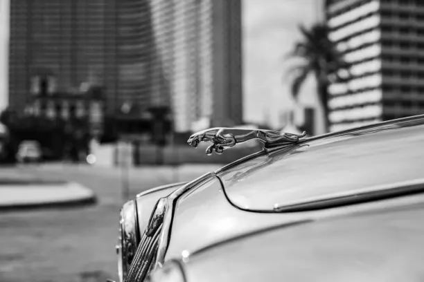 Prize Land Bingo Casino Android/iOS App